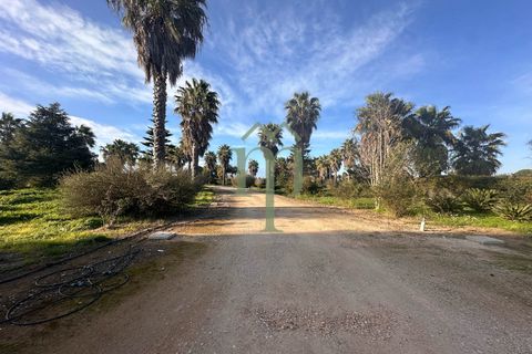 Villa i Mesagne, Brindisi, Mesagne - € 365.000 | Ref: Villa Palme - foto 33